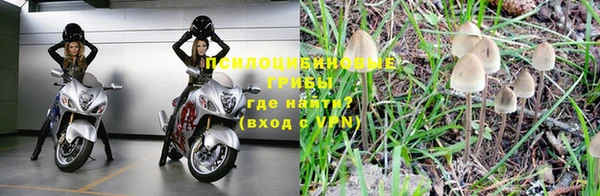 марихуана Нефтекумск